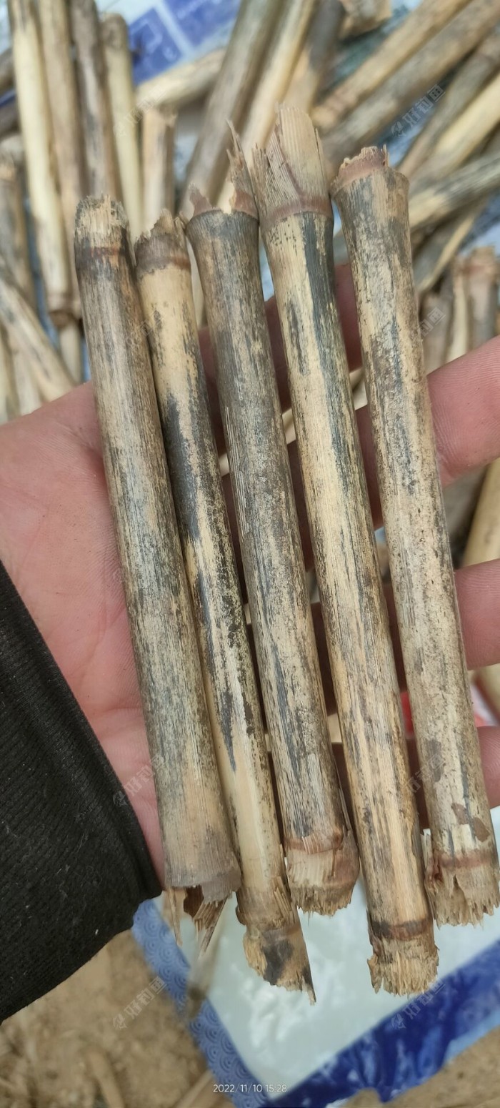 挑了几根满意的，别说花纹还挺不错，就是皮太厚，没办法将就着用呗