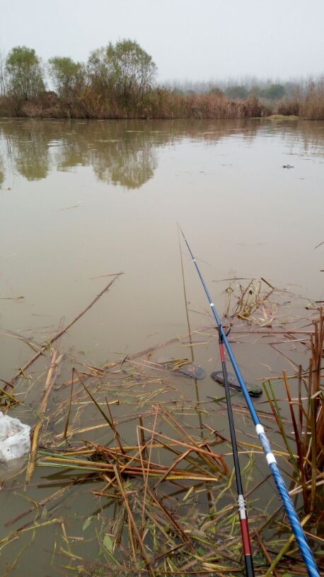 休竿不可封竿 - 好钓鱼