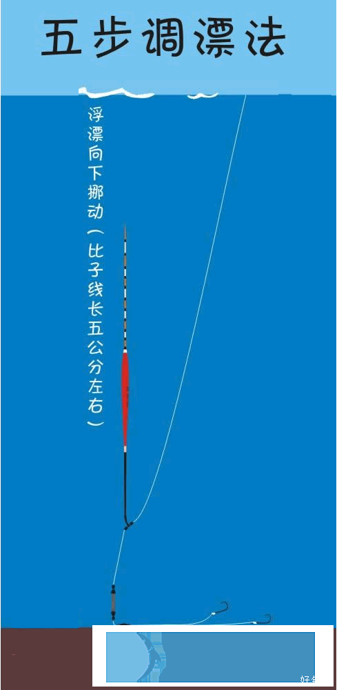 新手福利史上最简单的台钓调漂法