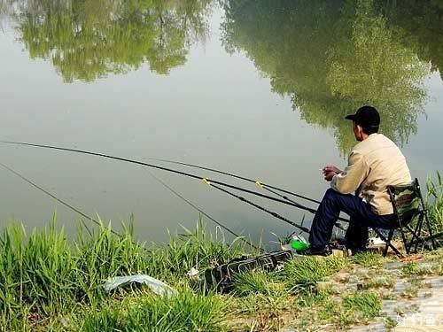 抗击激流的无漂看竿尖钓法 - 好钓鱼