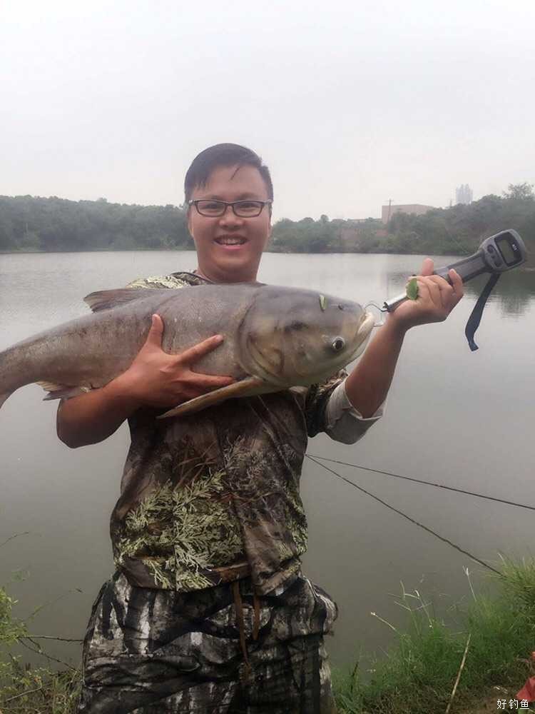 钓鲢秘技!纯干货喔!(附渔获)