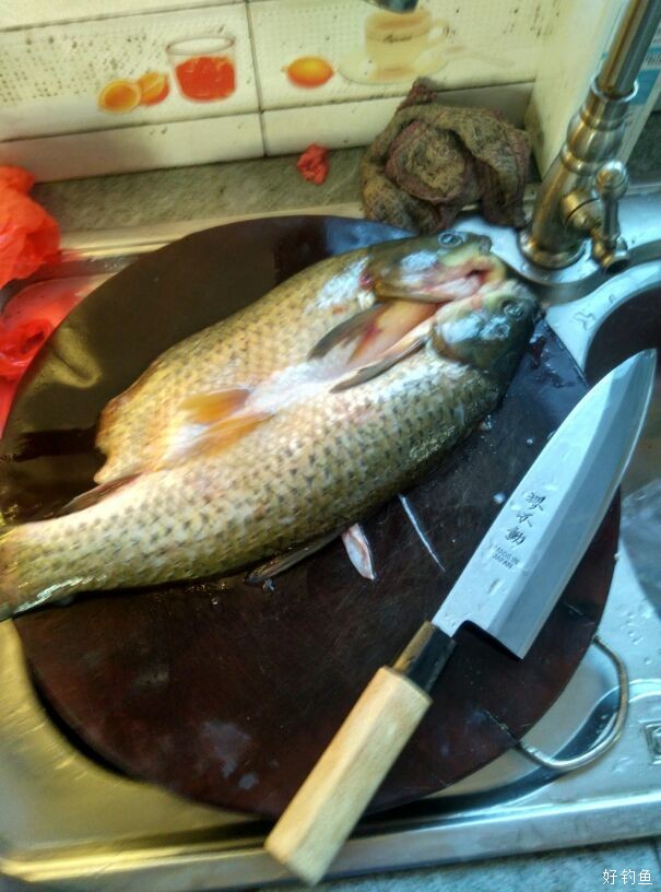 鱼肉火锅第一次弄粘鱼