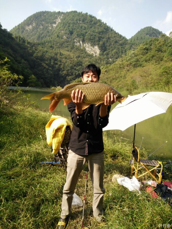 九龙坡大溪河钓鱼图片