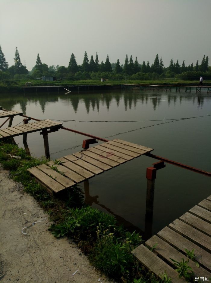 青鱼塘用螺互钓就是不吃钓 - 好钓鱼