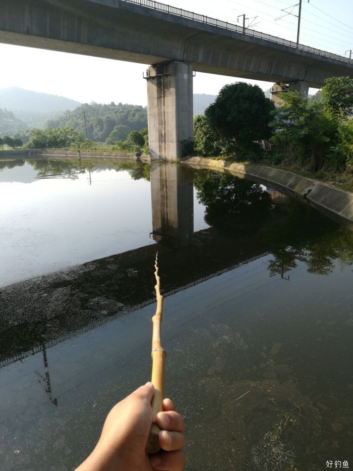 竹竿钓大鱼 - 好钓鱼