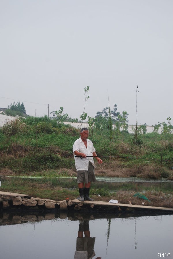 野河边钓鱼人络绎不绝每人能钓上百来条