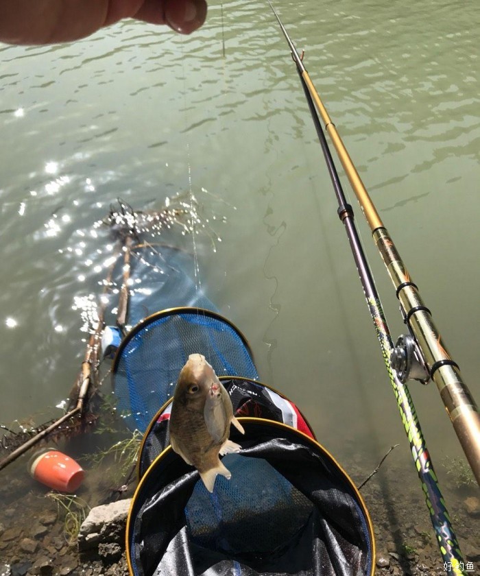 乌川湖钓鱼图片