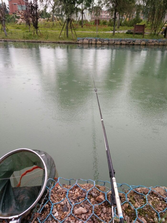 下雨天好钓鱼