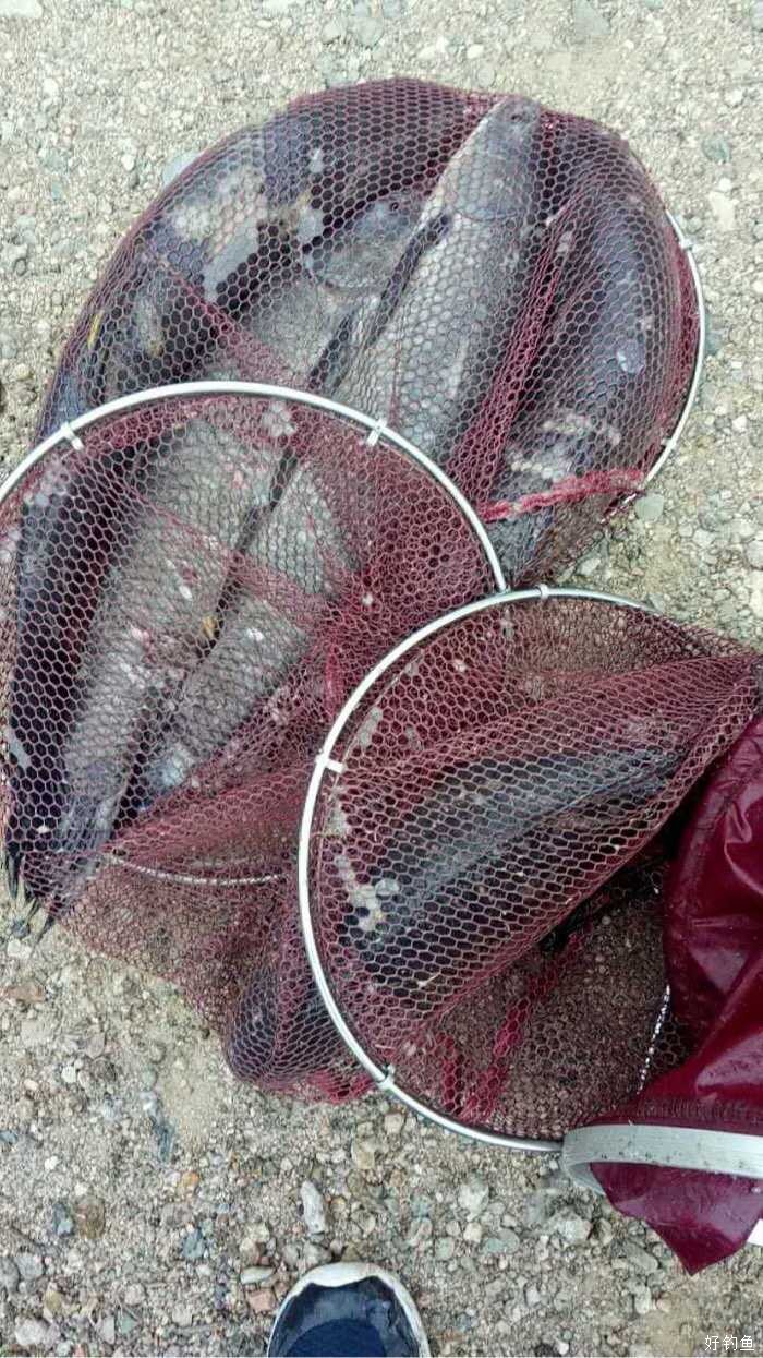 钓点 : 丰宁县土城镇东窑  鱼种 : 大青鱼  联系方式 : 15603148684