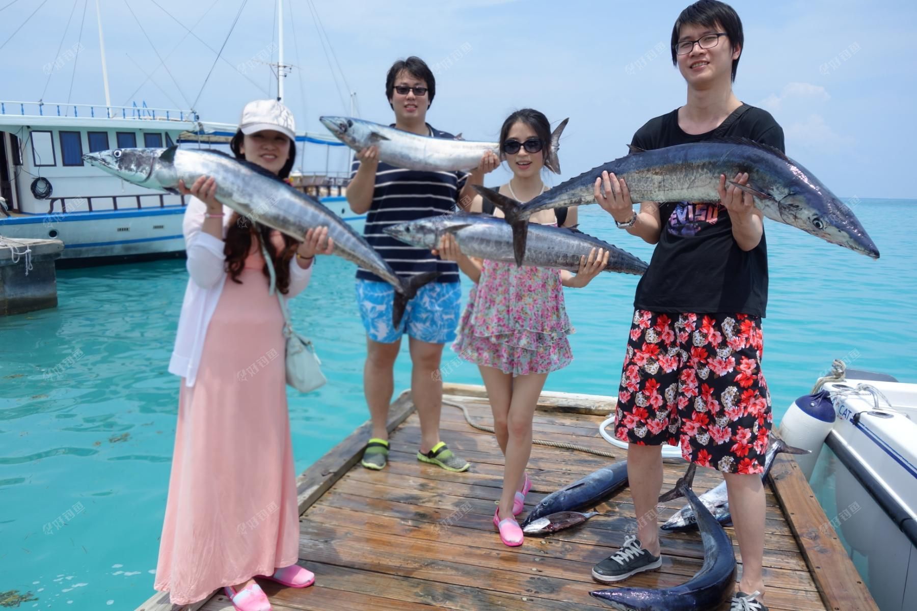 5天4夜海钓盛宴超20公斤大鱼虏获近30条