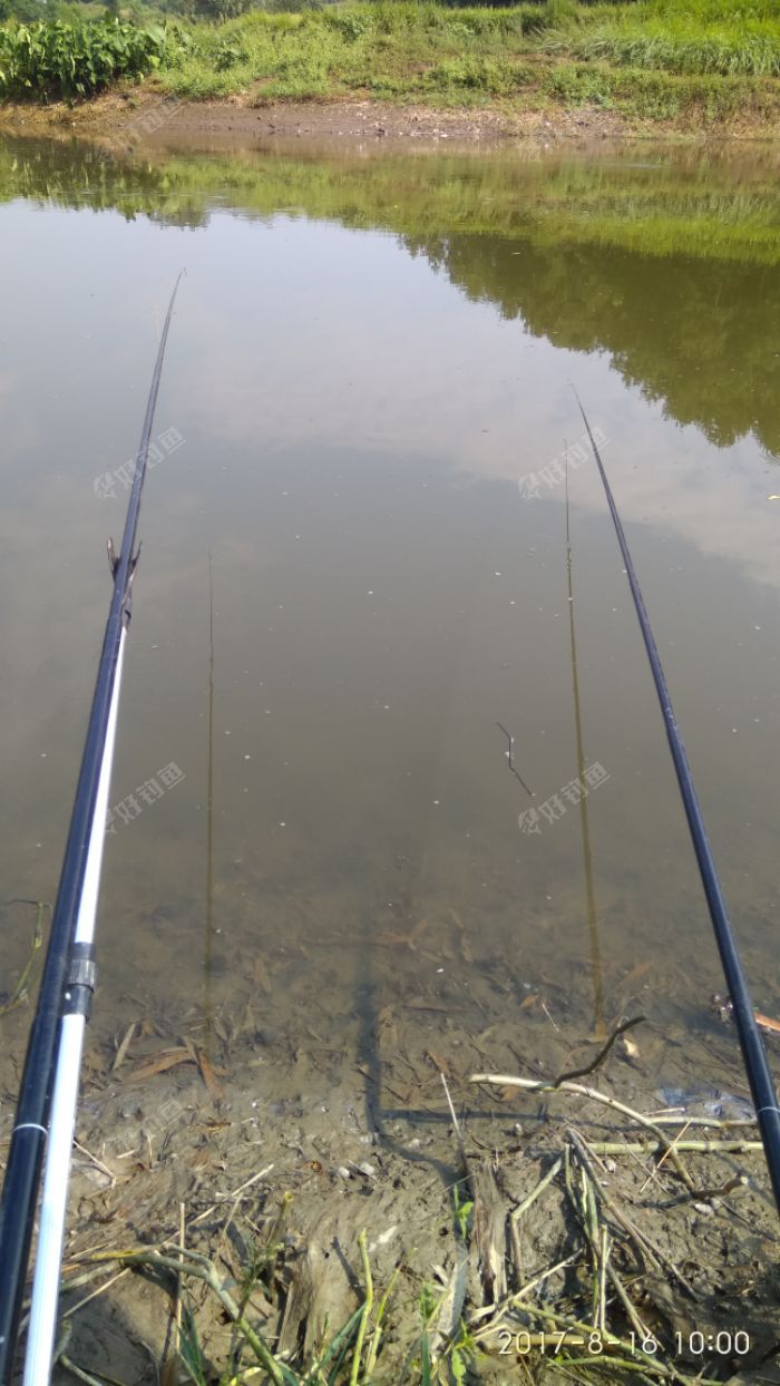 太阳好大,都晒黑了 - 好钓鱼