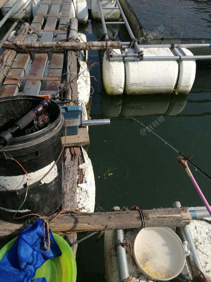 福州闽清雄江库区搏巨草 - 好钓鱼