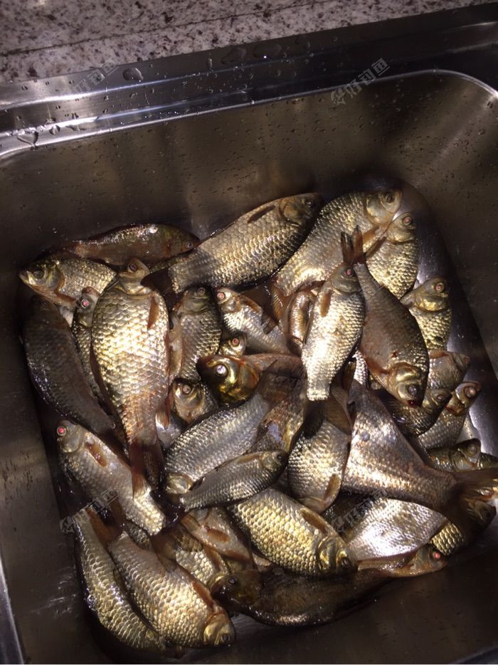 昨天夜里的鱼货