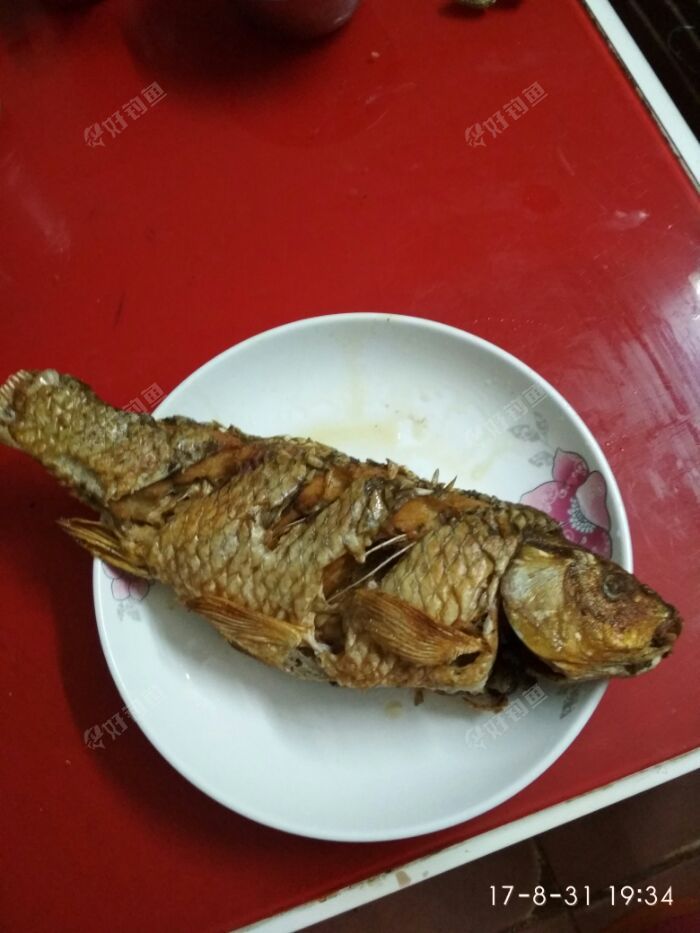 紅燒鯉魚,今天釣到的