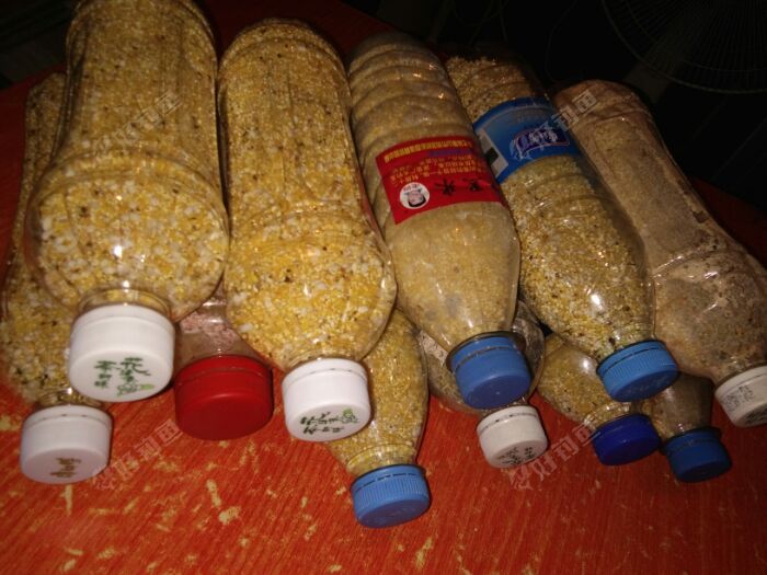 自制打窝料,效果不一般