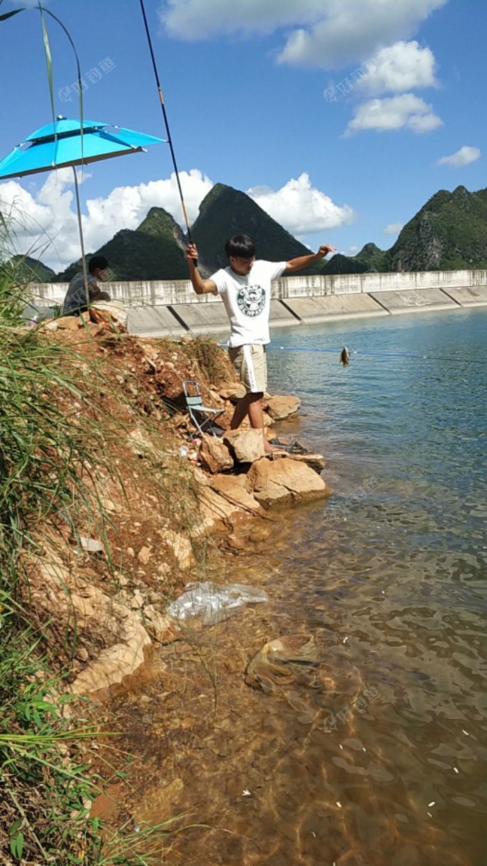 八宝水库战罗非