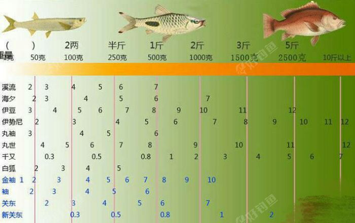 鱼钩大小跟鱼重对照表图片