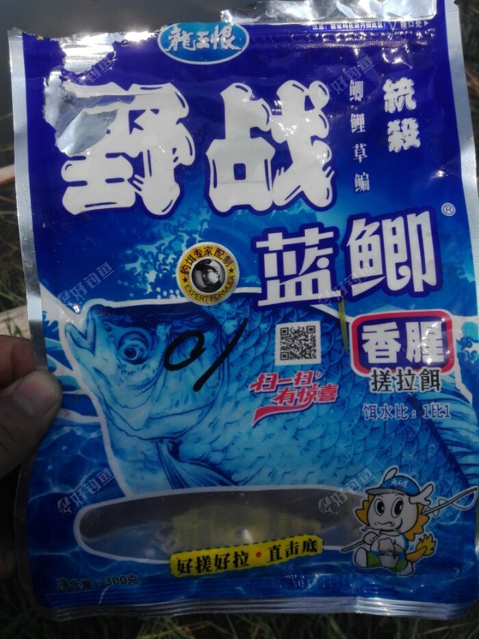 [鱼饵试钓g]大物不出没小鱼闹翻天 广东珠海 - 好钓鱼