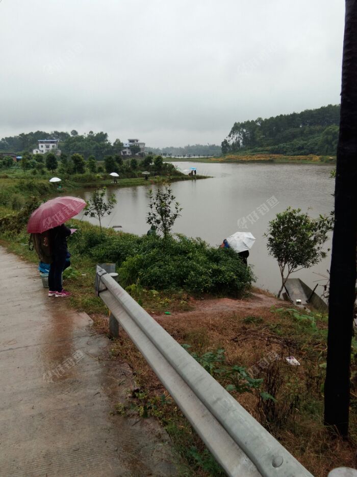 玉龙水库淹没区图片