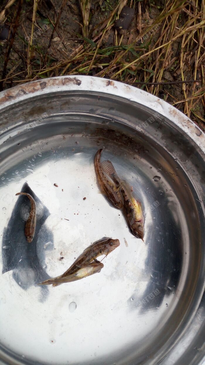 贵州省毕节市大方县新源水库