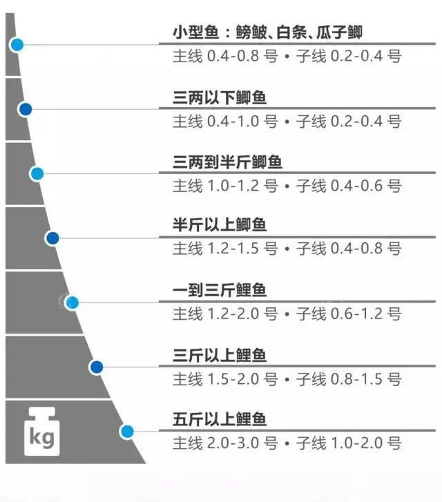 鱼竿钓重与主线搭配图片