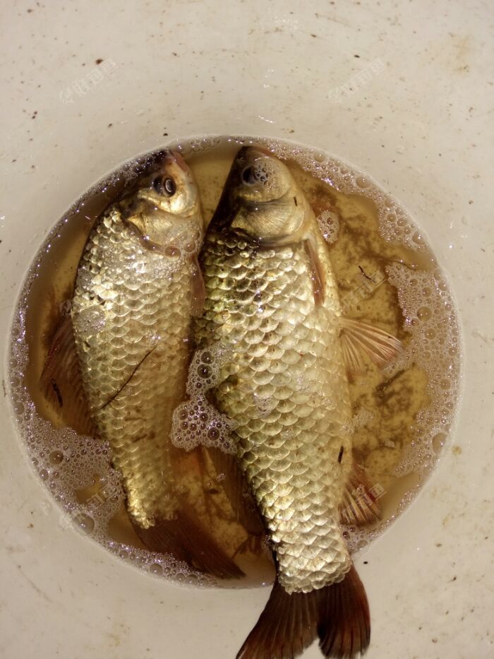 一切为了守大鱼