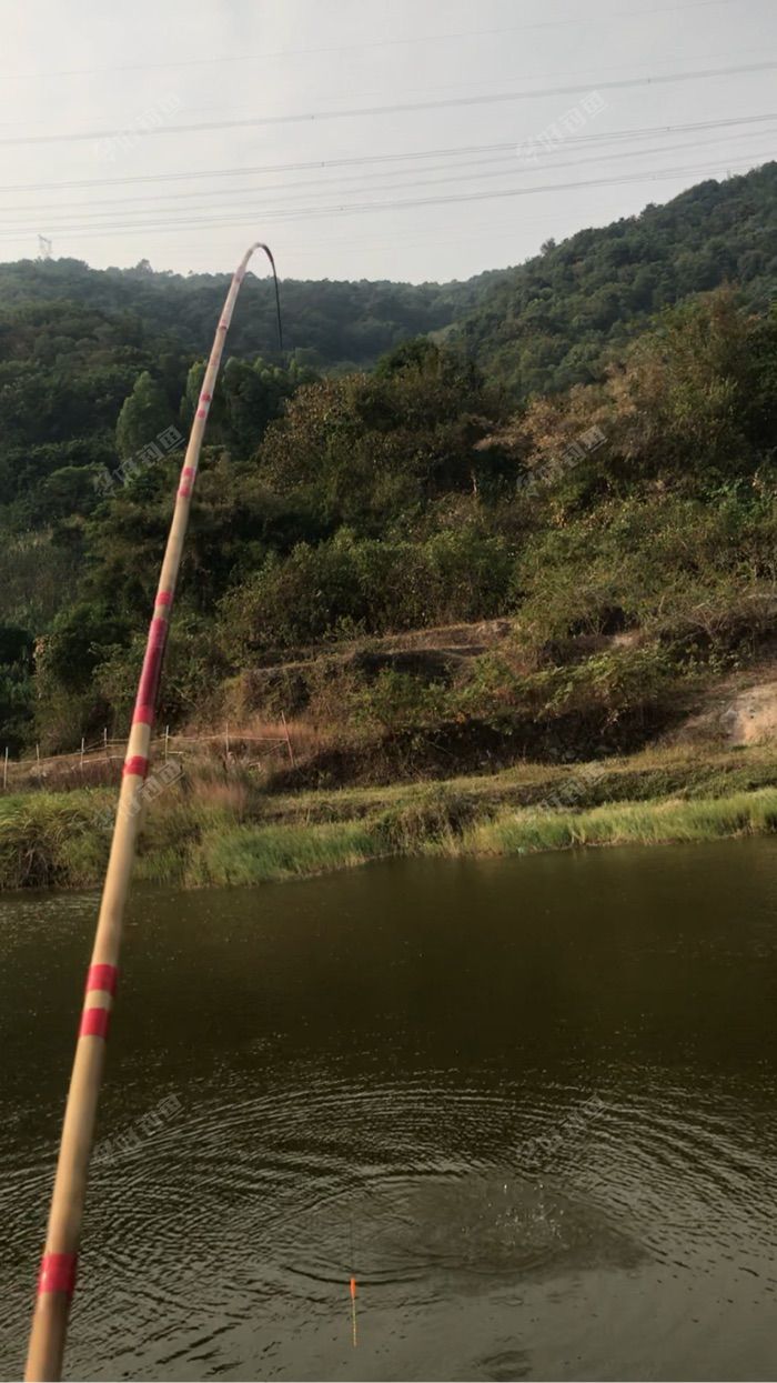 自制12尺竹鱼竿