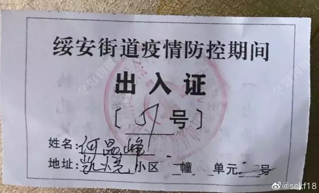 抗疫情武汉保卫战色彩出入证