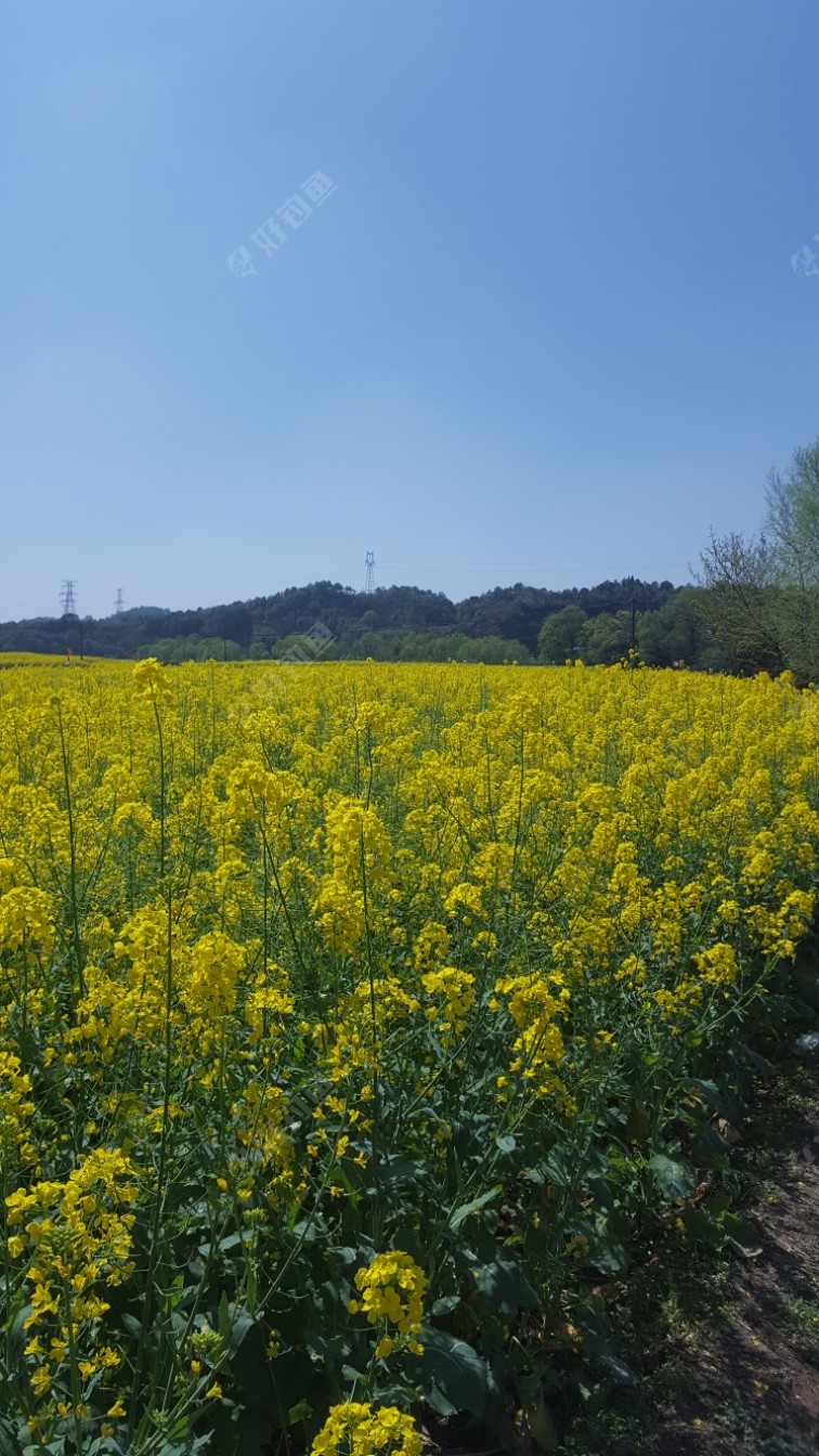 好天气好环境可惜收获都不好