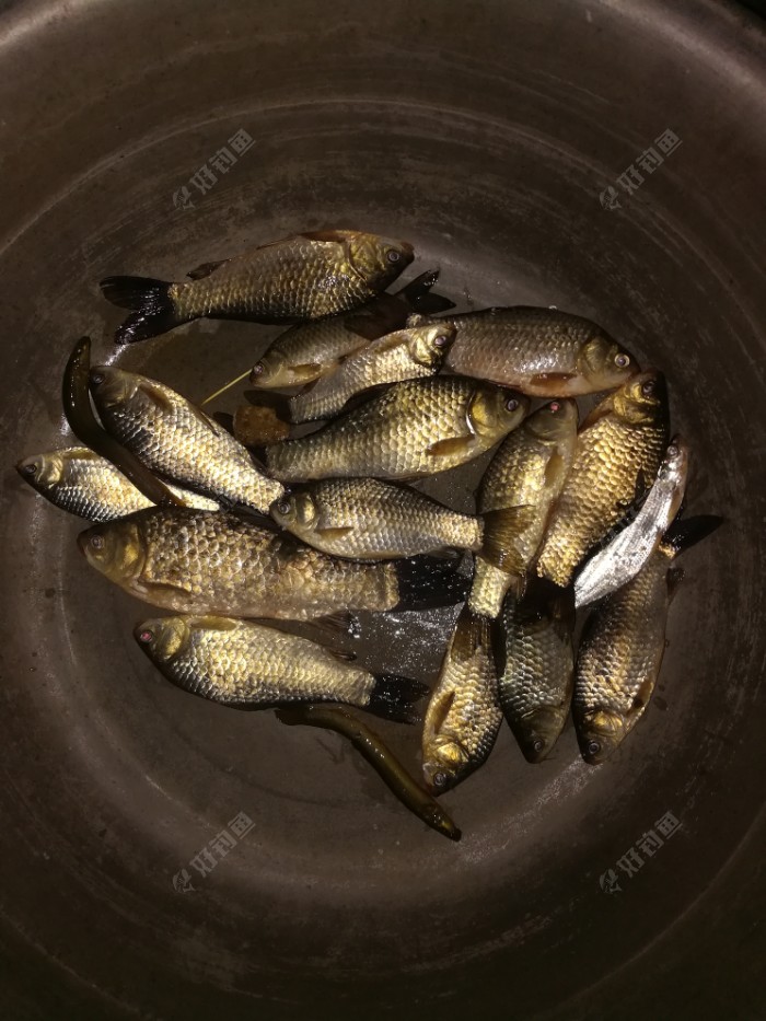 郏县老虎洞水库
