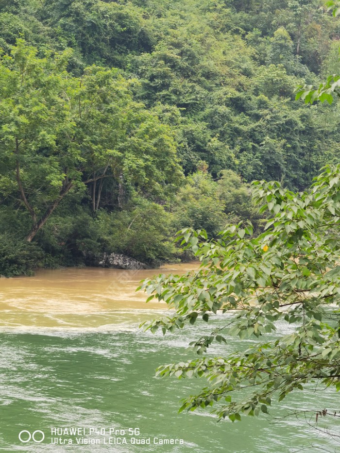 这种浑水和清水交汇的河水适合钓什么鱼呢